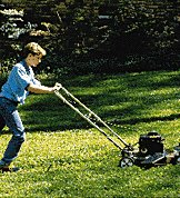 Why work at mowing the lawn?