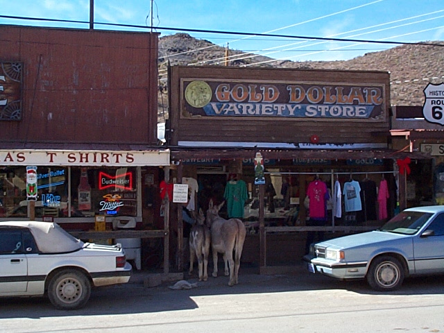 Yes, they have wild donkeys wandering around town.